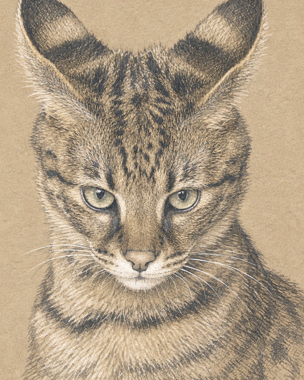 Kiara, Pencil sketch style